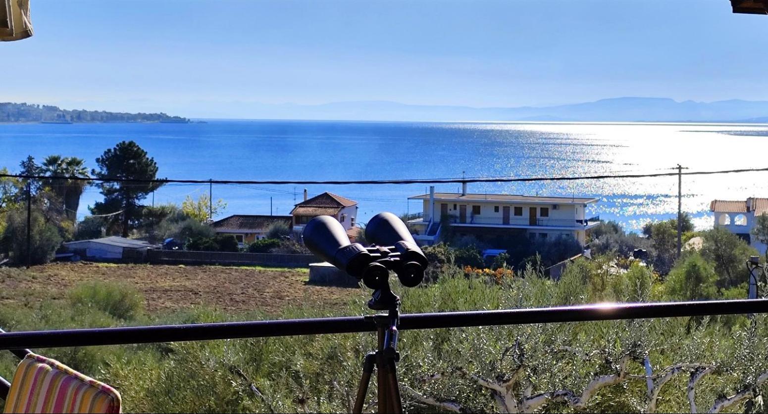Cozy House With Amazing View! Leilighet Loutrá Edipsoú Eksteriør bilde